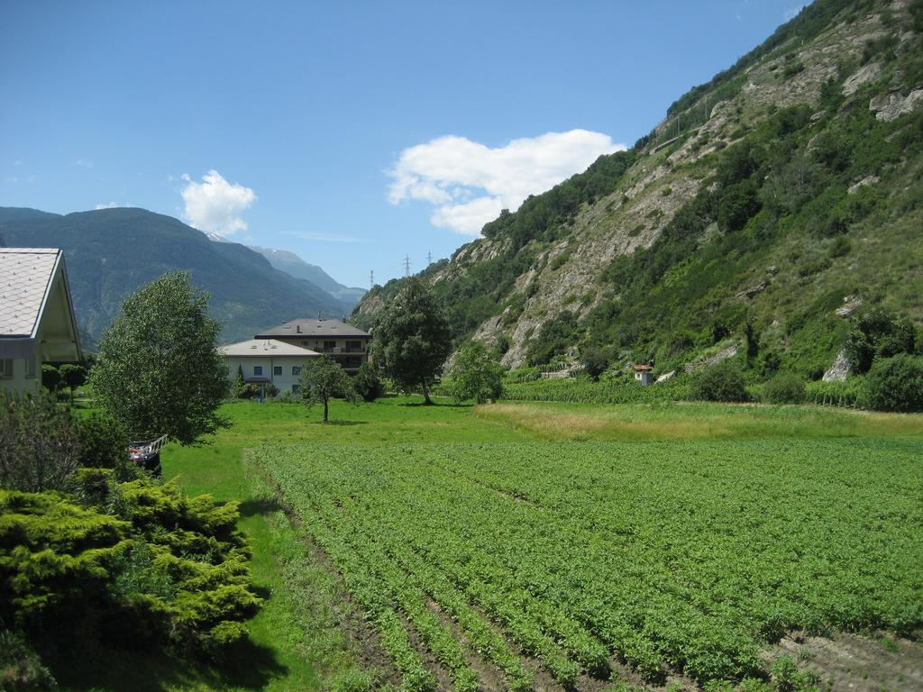 Hotel Garni Simplon Brigerbad Esterno foto